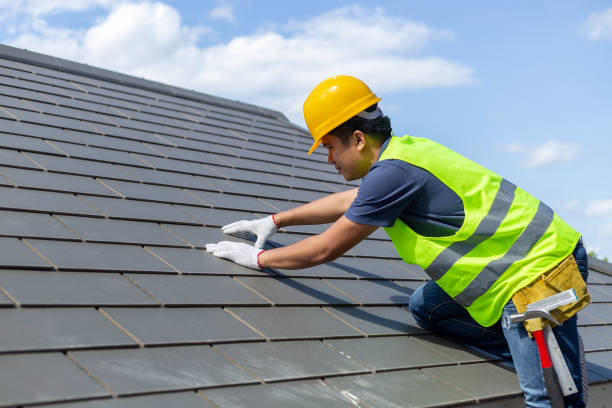Best Solar Panel Roofing Installation  in Forest, VA