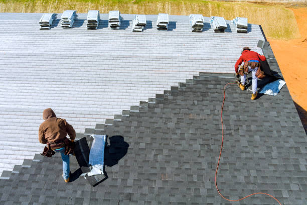 Best Roof Coating and Sealing  in Forest, VA