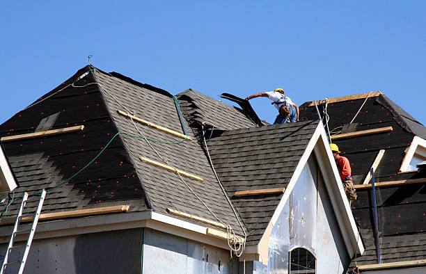 Best Roofing for New Construction  in Forest, VA