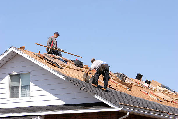 Best Asphalt Shingle Roofing  in Forest, VA