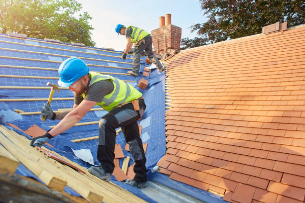 Best Sheet Metal Roofing  in Forest, VA