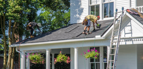 Best Gutter Installation and Repair  in Forest, VA